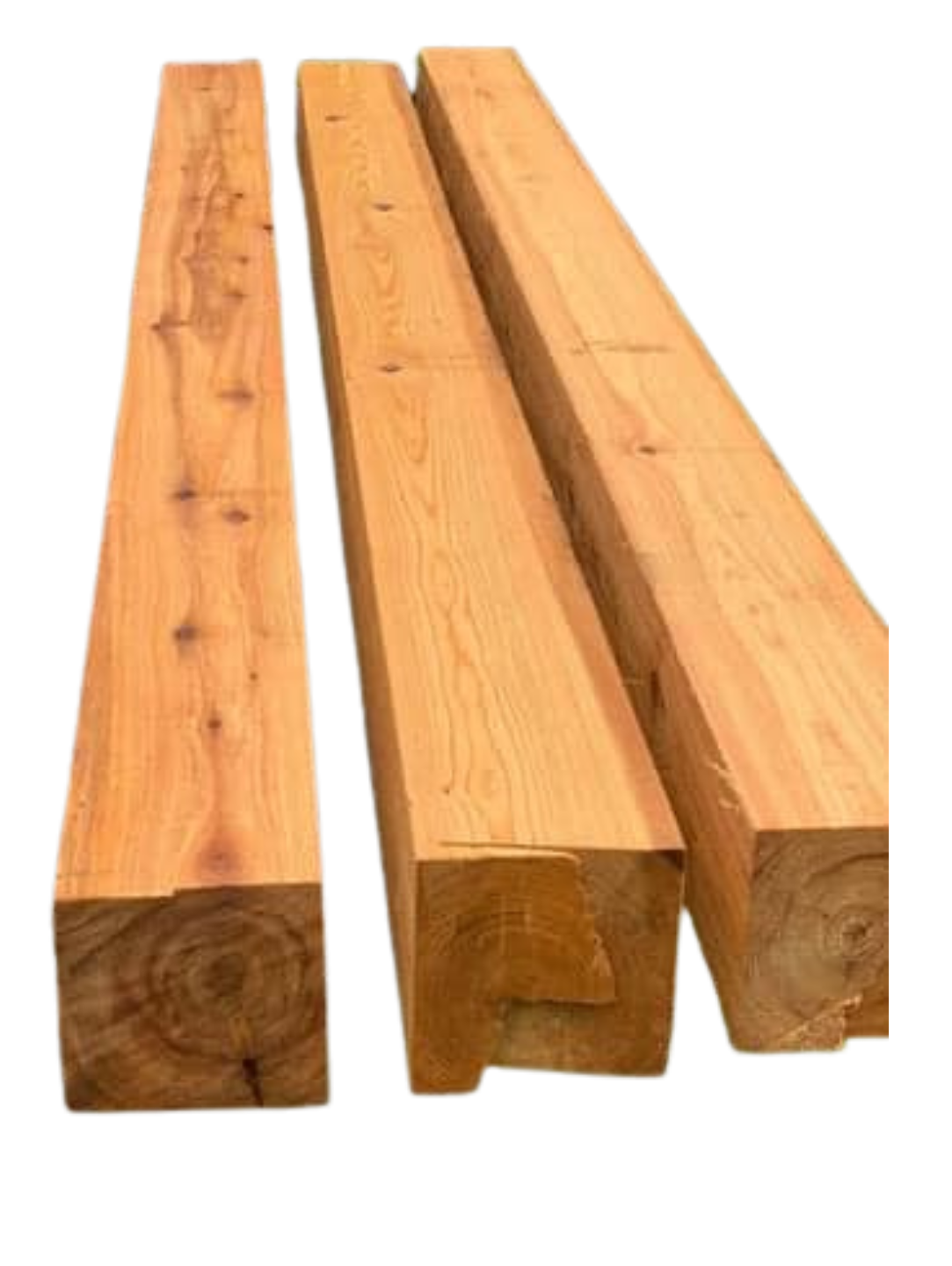 Cypress 02